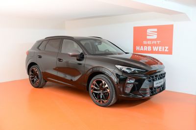 Cupra Terramar Gebrauchtwagen
