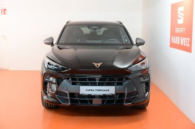 Cupra Terramar Gebrauchtwagen