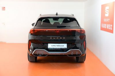 Cupra Terramar Gebrauchtwagen