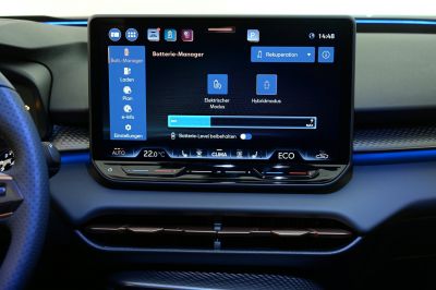 Cupra Terramar Gebrauchtwagen