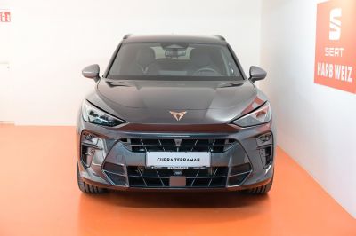 Cupra Terramar Gebrauchtwagen