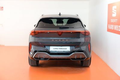 Cupra Terramar Gebrauchtwagen