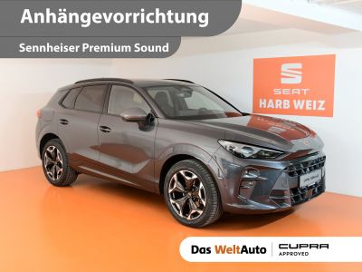 Cupra Terramar Gebrauchtwagen Cupra Terramar Gebrauchtwagen