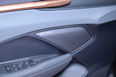 Cupra Terramar Gebrauchtwagen