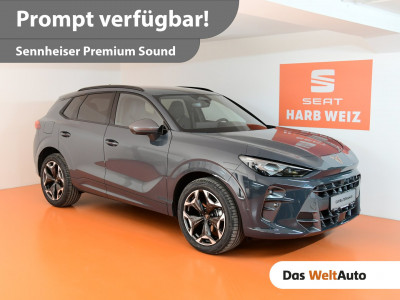 Cupra Terramar Gebrauchtwagen Cupra Terramar Gebrauchtwagen
