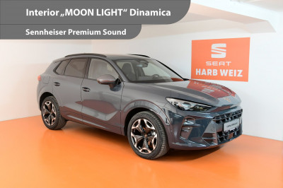 Cupra Terramar Gebrauchtwagen Cupra Terramar Gebrauchtwagen