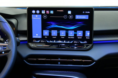 Cupra Terramar Gebrauchtwagen