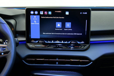 Cupra Terramar Gebrauchtwagen