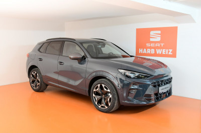 Cupra Terramar Gebrauchtwagen