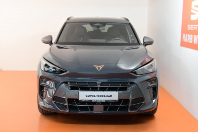 Cupra Terramar Gebrauchtwagen
