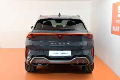 Cupra Terramar Gebrauchtwagen