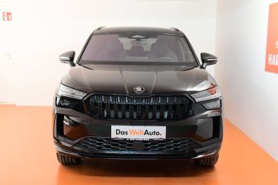 Skoda Kodiaq Gebrauchtwagen Skoda Kodiaq Gebrauchtwagen