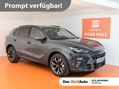 Cupra Terramar Gebrauchtwagen