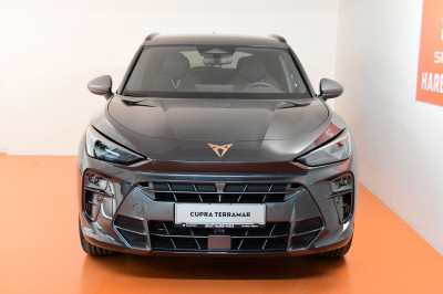 Cupra Terramar Gebrauchtwagen