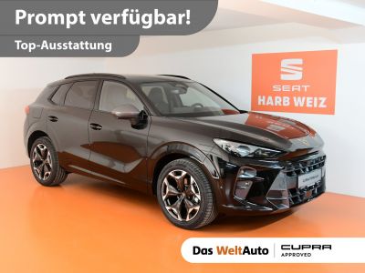 Cupra Terramar Gebrauchtwagen