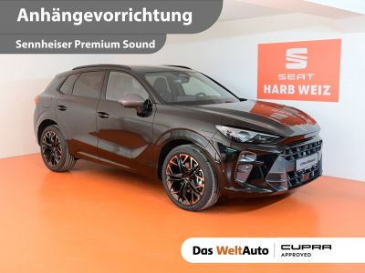 Cupra Terramar Gebrauchtwagen
