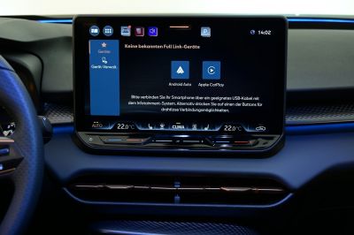 Cupra Terramar Gebrauchtwagen
