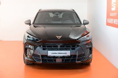 Cupra Terramar Gebrauchtwagen