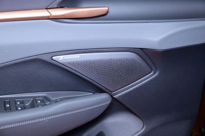 Cupra Terramar Gebrauchtwagen