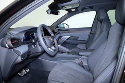 Cupra Terramar Gebrauchtwagen