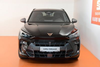 Cupra Terramar Gebrauchtwagen Cupra Terramar Gebrauchtwagen