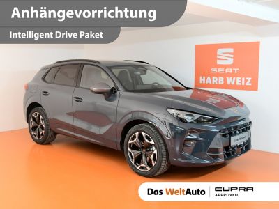 Cupra Terramar Gebrauchtwagen Cupra Terramar Gebrauchtwagen