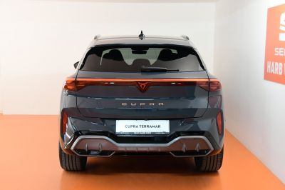 Cupra Terramar Gebrauchtwagen Cupra Terramar Gebrauchtwagen