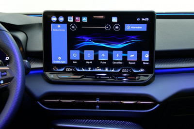 Cupra Terramar Gebrauchtwagen
