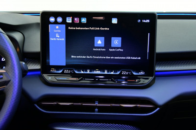 Cupra Terramar Gebrauchtwagen