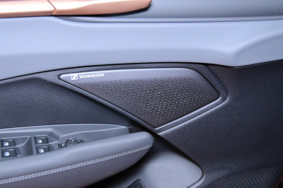 Cupra Terramar Gebrauchtwagen