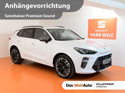 Cupra Terramar Gebrauchtwagen Cupra Terramar Gebrauchtwagen