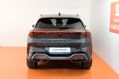 Cupra Terramar Gebrauchtwagen Cupra Terramar Gebrauchtwagen