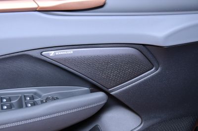 Cupra Terramar Gebrauchtwagen Cupra Terramar Gebrauchtwagen