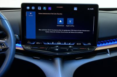 Cupra Tavascan Gebrauchtwagen Cupra Tavascan Gebrauchtwagen