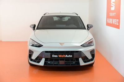 Cupra Leon Gebrauchtwagen Cupra Leon Gebrauchtwagen