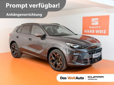 Cupra Terramar Gebrauchtwagen