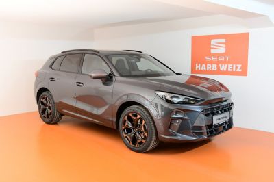 Cupra Terramar Gebrauchtwagen Cupra Terramar Gebrauchtwagen