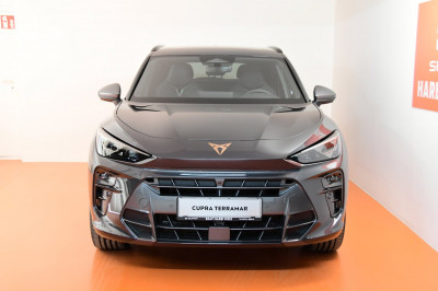 Cupra Terramar Gebrauchtwagen Cupra Terramar Gebrauchtwagen