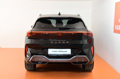 Cupra Terramar Gebrauchtwagen Cupra Terramar Gebrauchtwagen