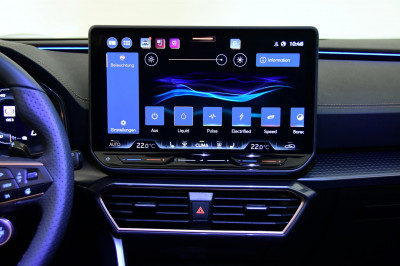Cupra Formentor Gebrauchtwagen Cupra Formentor Gebrauchtwagen