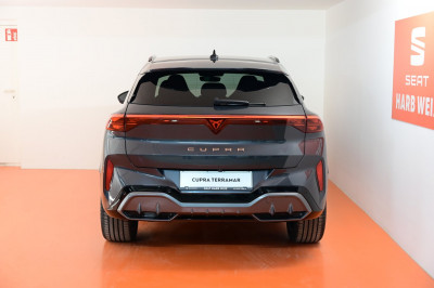 Cupra Terramar Gebrauchtwagen Cupra Terramar Gebrauchtwagen