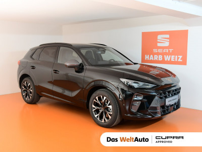 Cupra Terramar Gebrauchtwagen Cupra Terramar Gebrauchtwagen