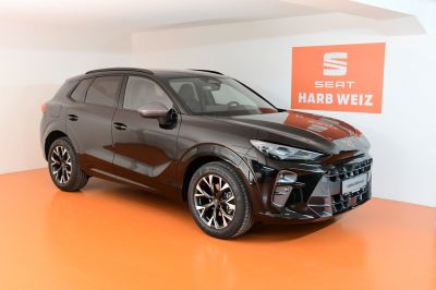 Cupra Terramar Gebrauchtwagen Cupra Terramar Gebrauchtwagen