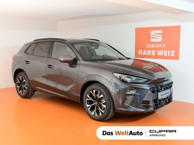 Cupra Terramar Gebrauchtwagen