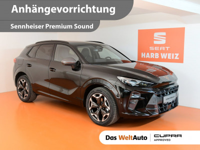 Cupra Terramar Gebrauchtwagen Cupra Terramar Gebrauchtwagen