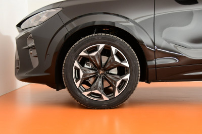 Cupra Terramar Gebrauchtwagen Cupra Terramar Gebrauchtwagen