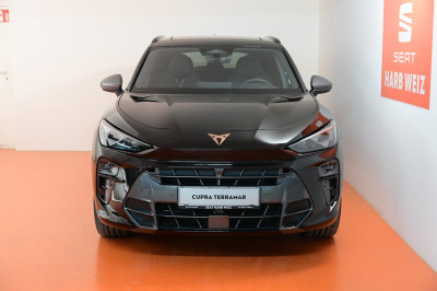 Cupra Terramar Gebrauchtwagen Cupra Terramar Gebrauchtwagen
