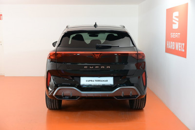 Cupra Terramar Gebrauchtwagen Cupra Terramar Gebrauchtwagen