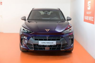 Cupra Terramar Gebrauchtwagen Cupra Terramar Gebrauchtwagen