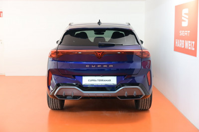 Cupra Terramar Gebrauchtwagen Cupra Terramar Gebrauchtwagen